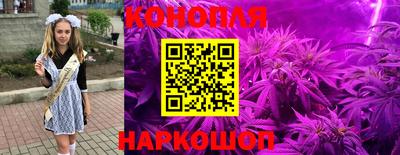 бошки Краснодар