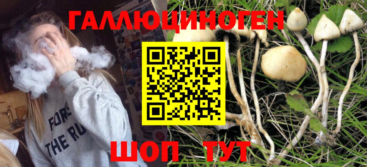 НБОМе Карталы