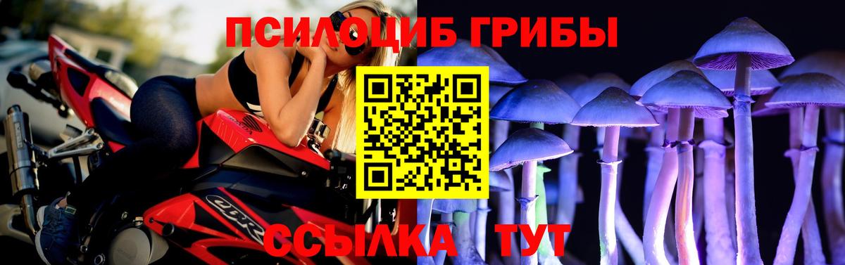 Псилоцибиновые грибы Magic Shrooms  Галлюциногенные грибы MAGIC MUSHROOMS  Вход с VPN  Карталы 